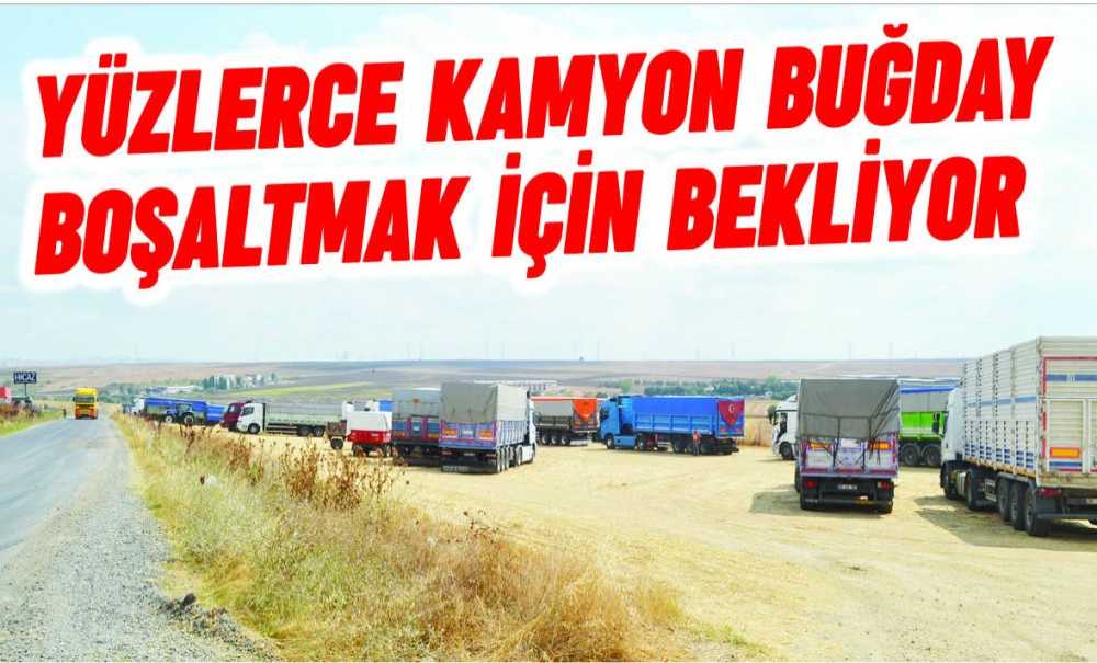 Yüzlerce Kamyon Buğday Boşaltmak İçin Bekliyor