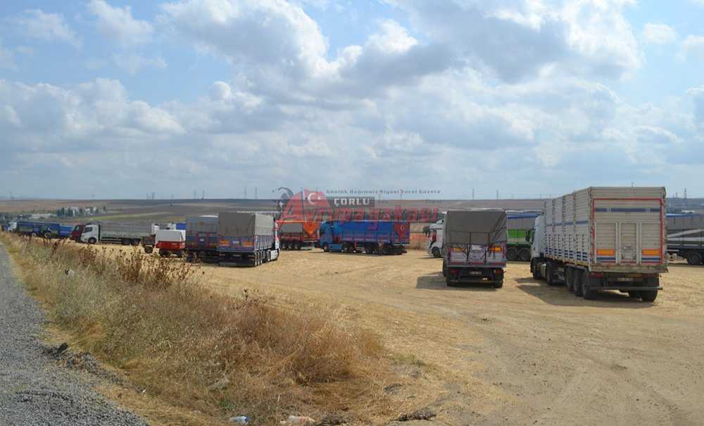 Yüzlerce Kamyon Buğday Boşaltmak İçin Bekliyor