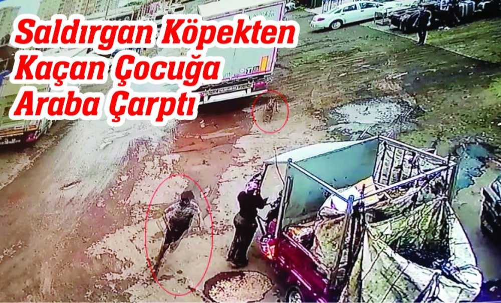 Saldırgan Köpekten Kaçan Çocuğa Araba Çarptı