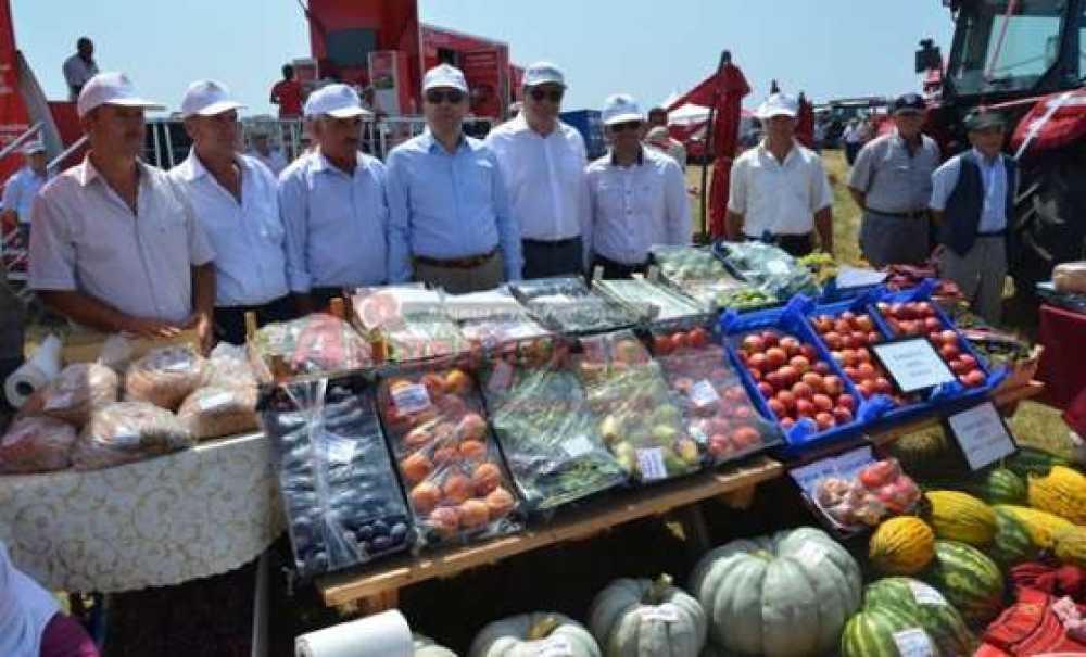 Gıda Tarım Ve Hayvancılık Müdürlüğü Standına Yoğun İlgi