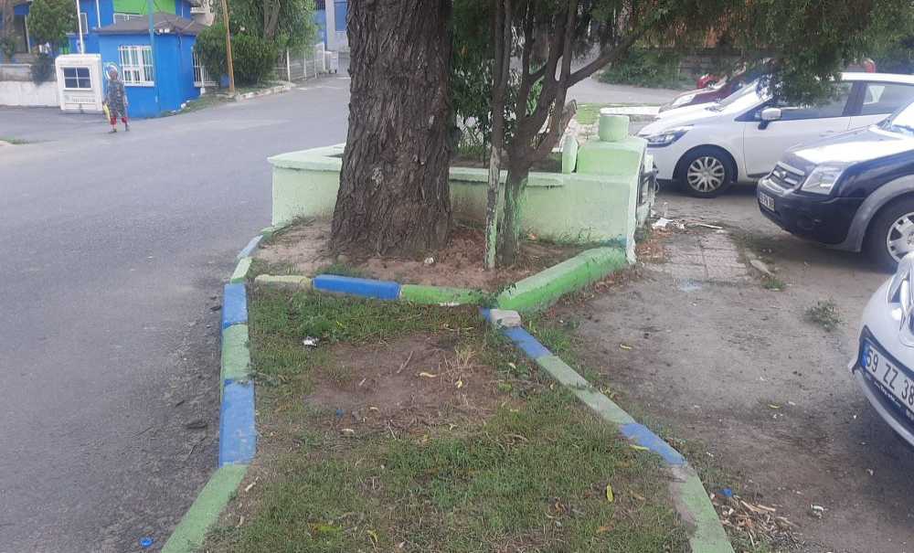 Şehit Hüseyin Gazi'nin Mezar Taşı Yerden Kaldırıldı