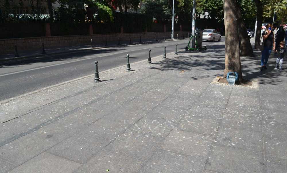 Kuş Pislikleri Tepki Çekiyor