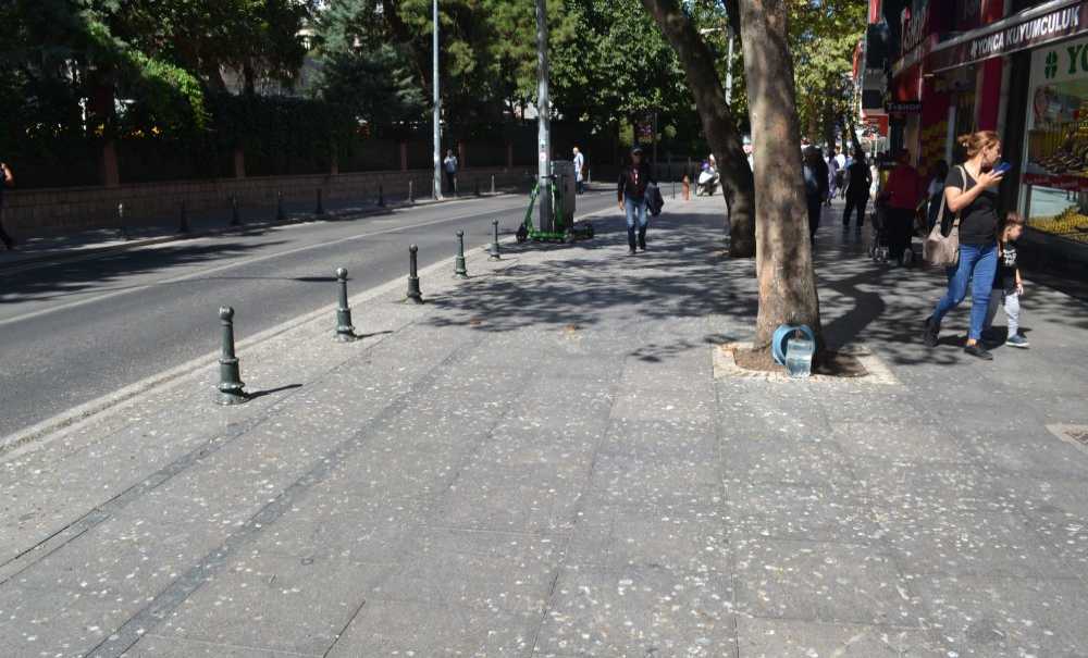 Kuş Pislikleri Tepki Çekiyor