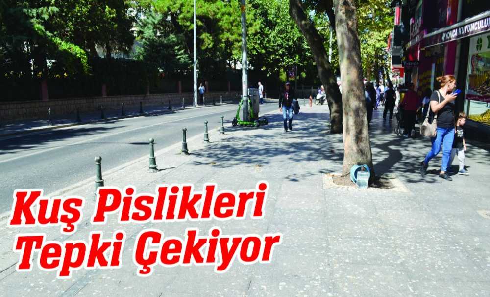 Kuş Pislikleri Tepki Çekiyor