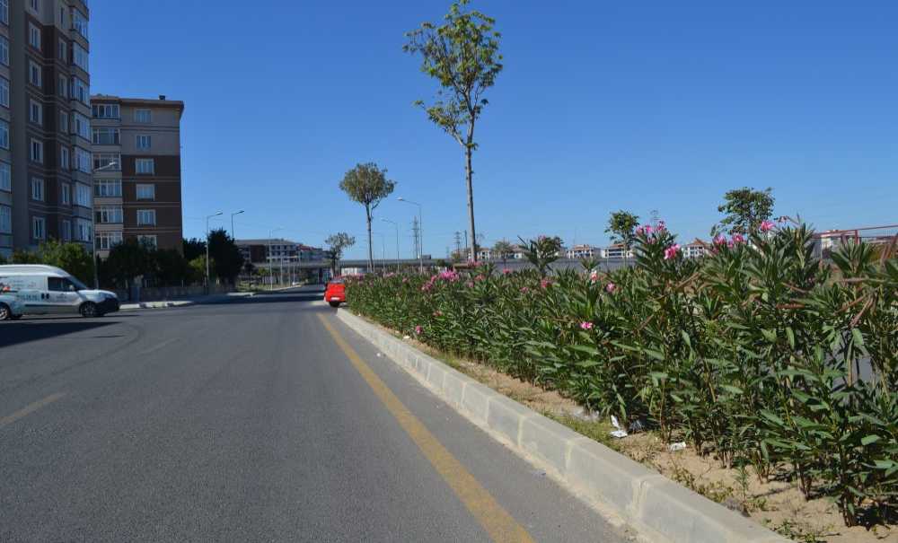 Refüj Tehlike Saçıyor!