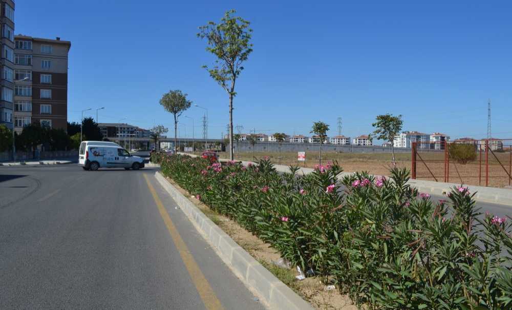 Refüj Tehlike Saçıyor!