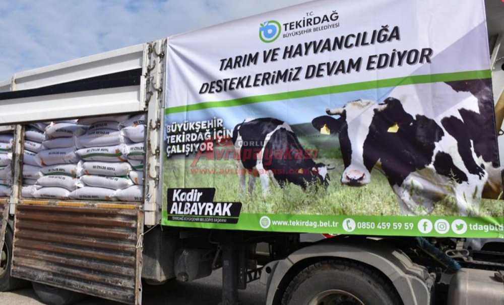 Büyükşehir, Üreticilere Desteğini Sürdürüyor