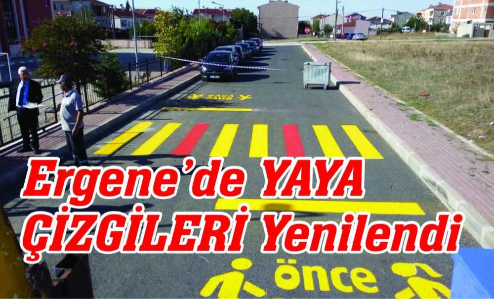 Ergene'de Yaya Çizgileri Yenilendi