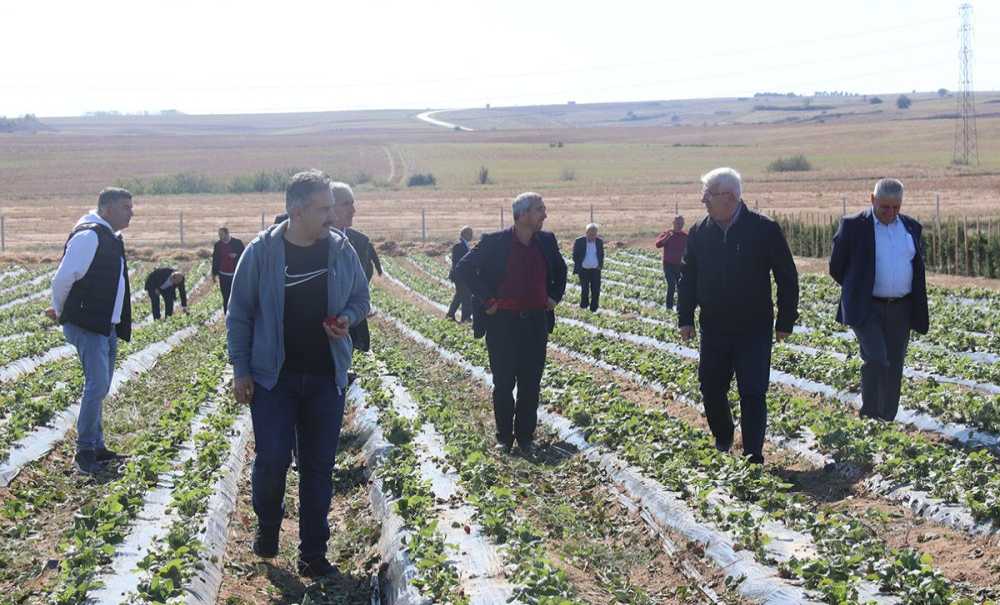 Kaymakam Ve Muhtarları Çilek Kafede Misafir Etti