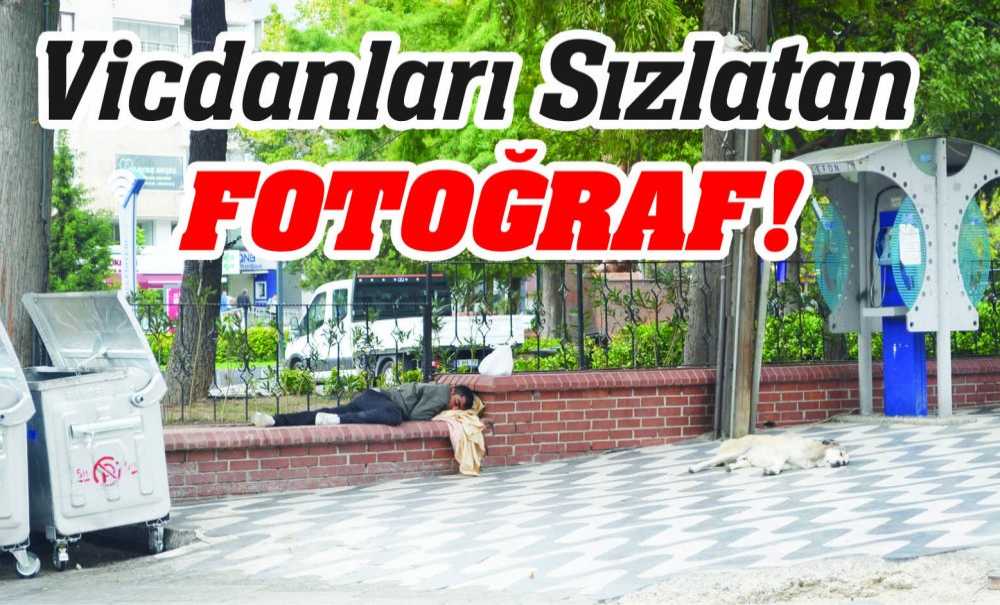 Vicdanları Sızlatan Fotoğraf!