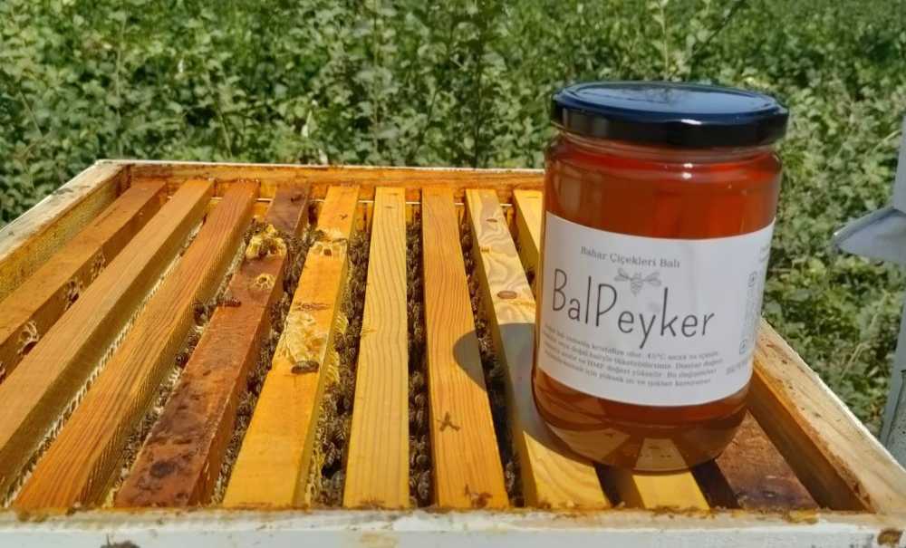 Hobi Olarak Başladı, Üretimini Çoğalttı