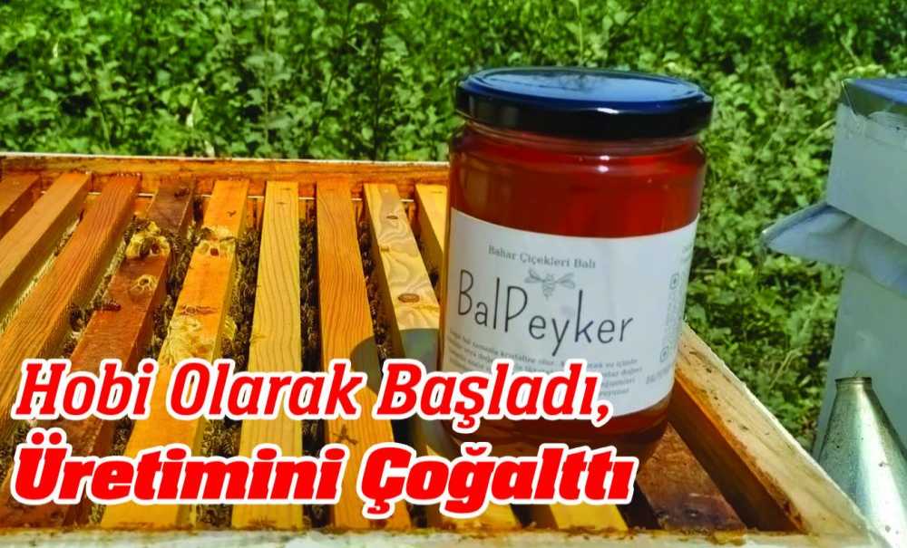 Hobi Olarak Başladı, Üretimini Çoğalttı