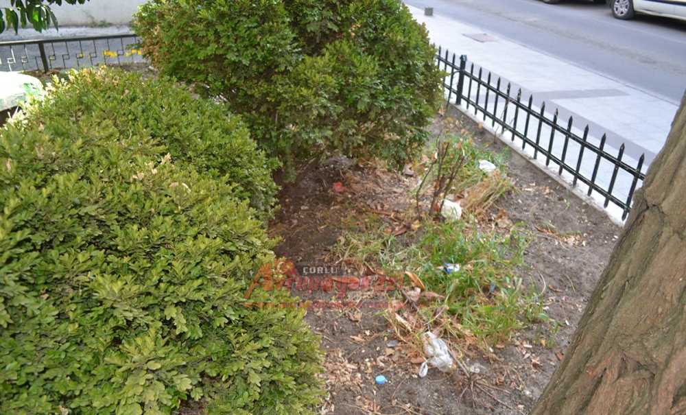 Tarihi Türbe Gün Yüzüne Çıkartılsın