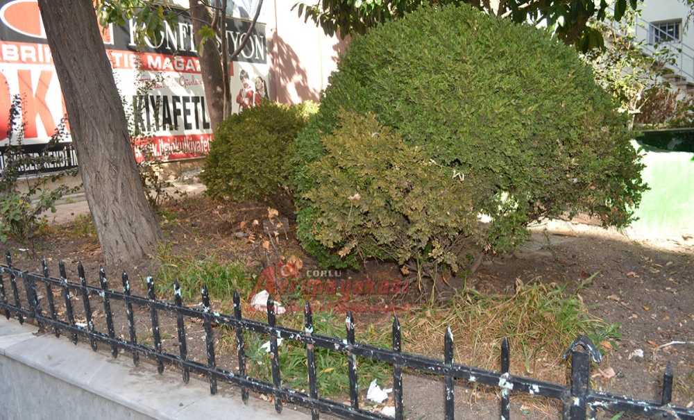 Tarihi Türbe Gün Yüzüne Çıkartılsın