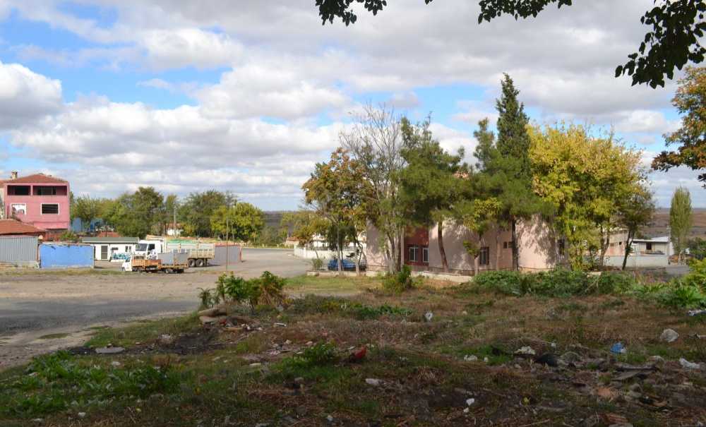 Mahalleli Patkanlardan Dolayı Dertli!