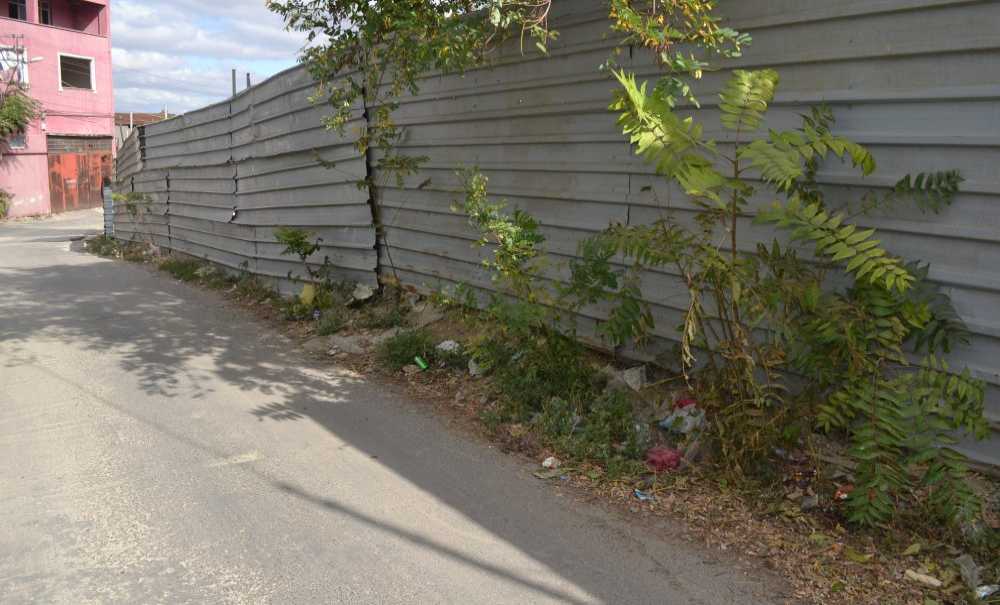 Mahalleli Patkanlardan Dolayı Dertli!