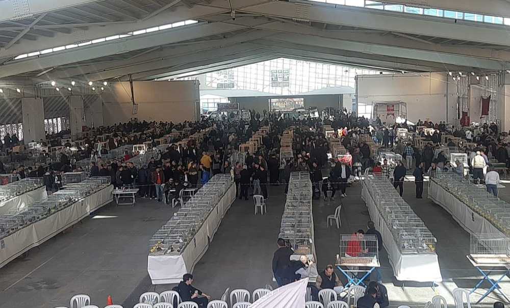 Festival Büyük İlgi Gördü