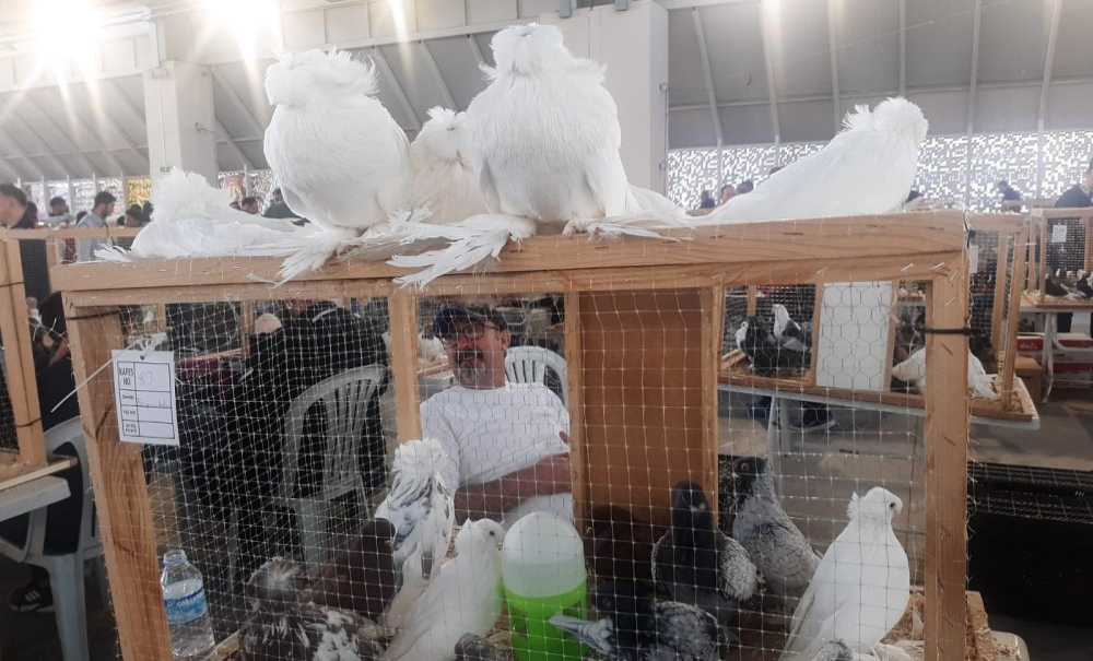 Festival Büyük İlgi Gördü