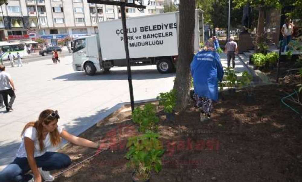 Atatürk Meydanı'na Ortanca Çiçeği
