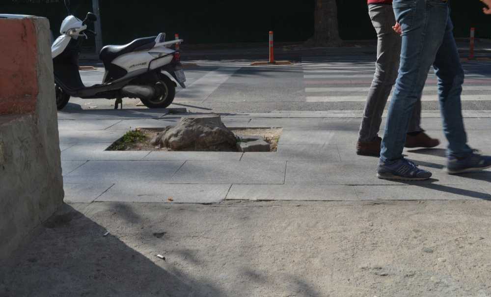 Otoparkın Çıkışında Bu Ağacın İşi Ne?