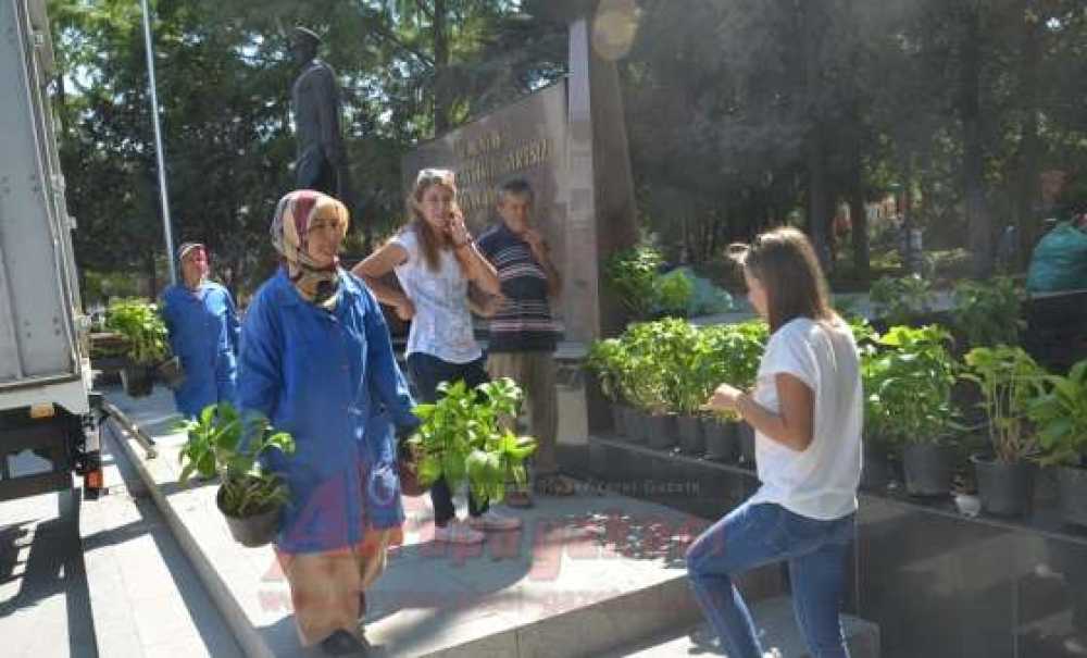 Atatürk Meydanı'na Ortanca Çiçeği