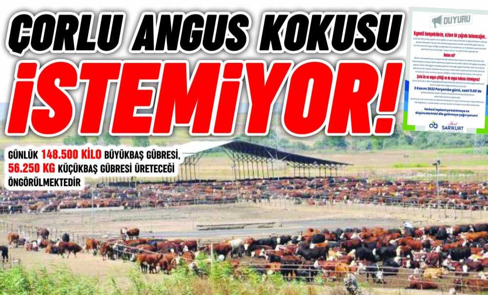 Çorlu Angus Kokusu İstemi̇yor!