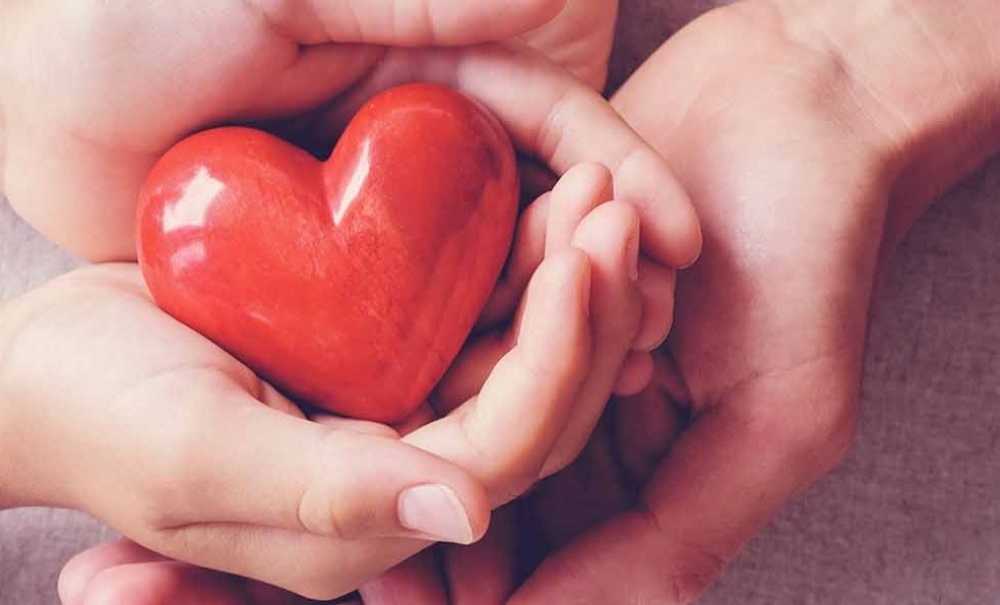 Organ Bağışıyla İlgili Önemli Uyarı!