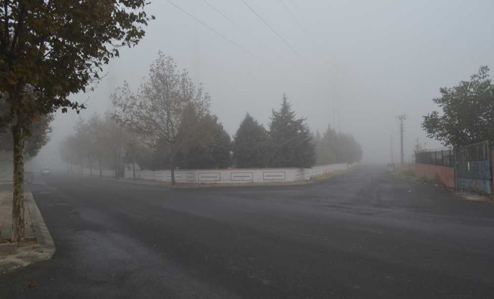 Hafta Sonu Yaşanan Sis Hayatı Olumsuz Etkiledi