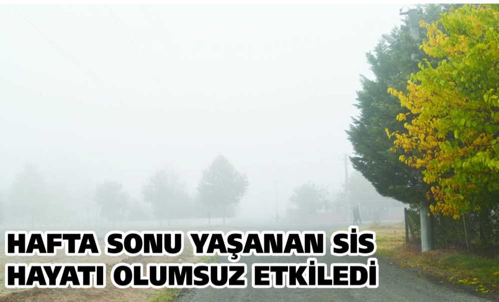 Hafta Sonu Yaşanan Sis Hayatı Olumsuz Etkiledi