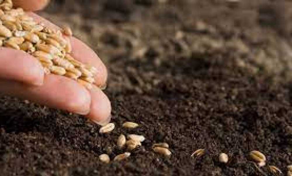 Çiftçiler Dört Gözle Yağmuru Bekliyor