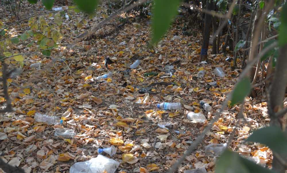 Hastane Bahçesi Pislik İçinde