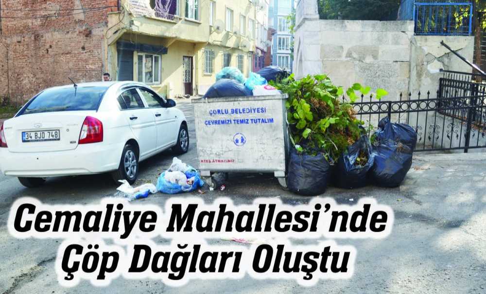 Cemaliye Mahallesi'nde Çöp Dağları Oluştu