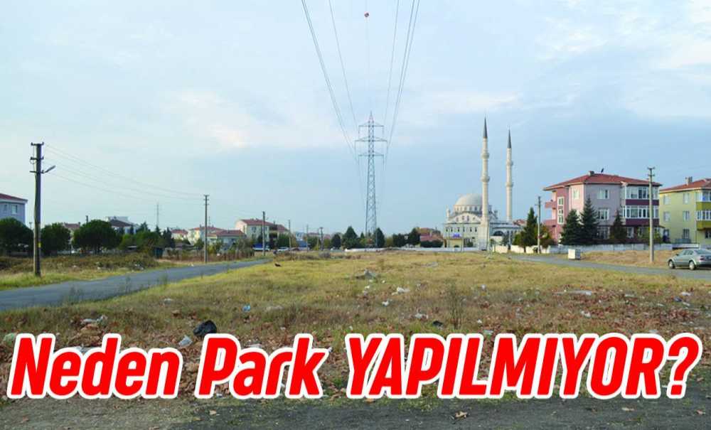 Neden Park Yapılmıyor?