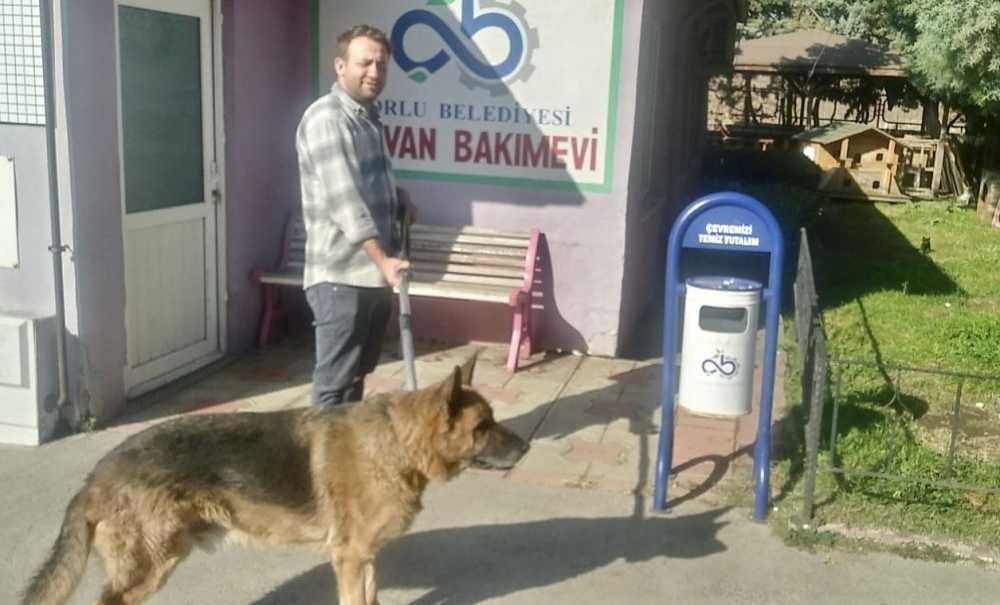 Sevimli Dostlarımızın Hep Yanındalar