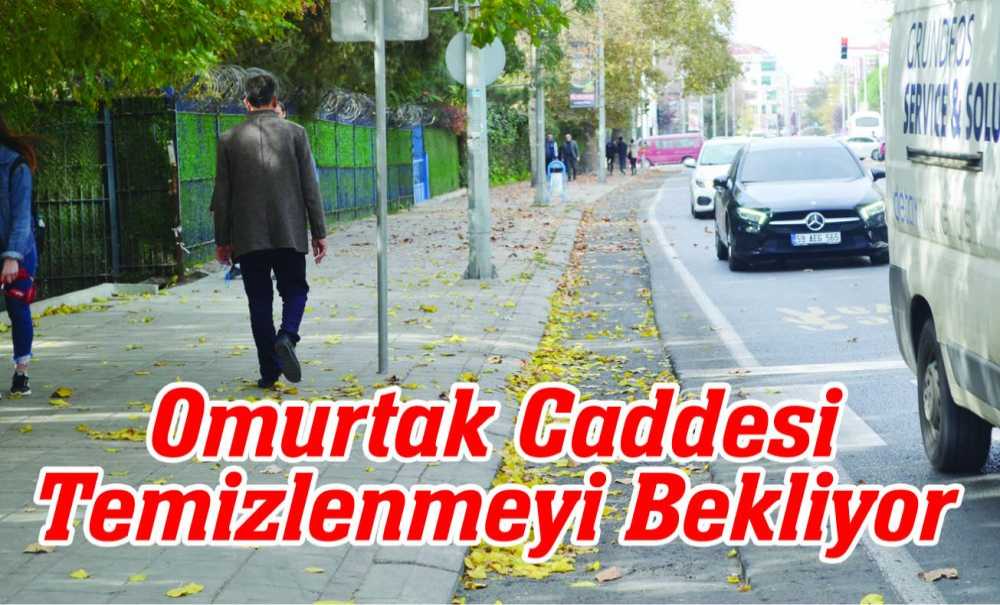 Omurtak Caddesi Temizlenmeyi Bekliyor