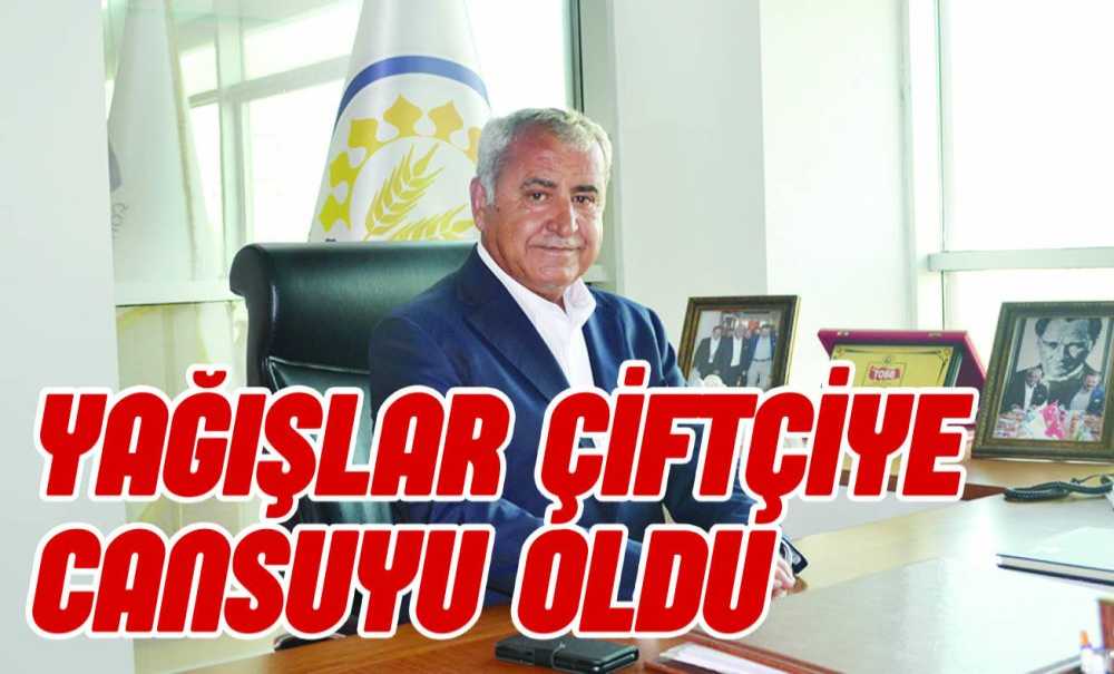 Yağışlar Çiftçiye Cansuyu Oldu