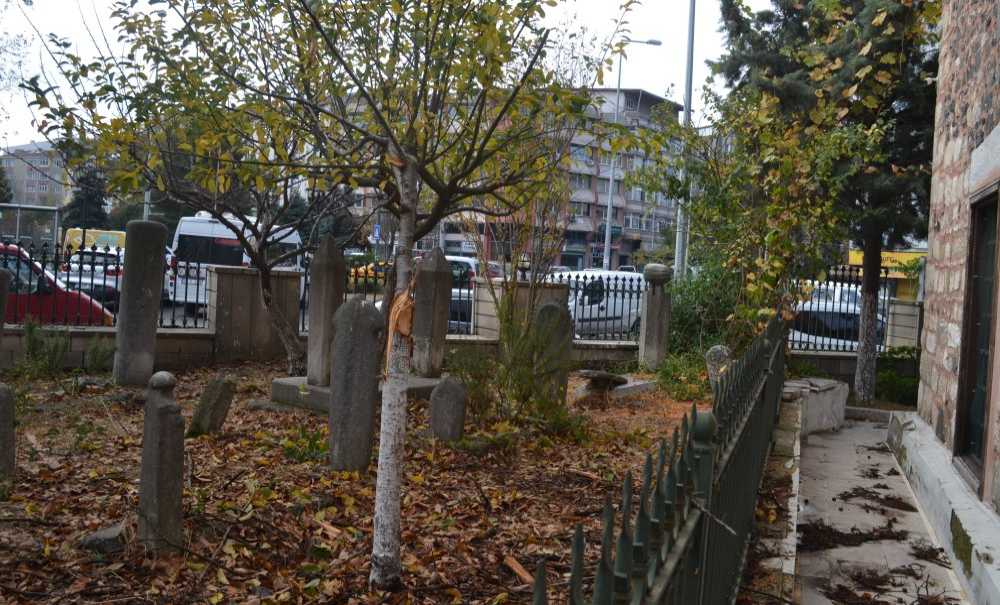 Devrilen Ağaç Yerinden Kaldırıldı