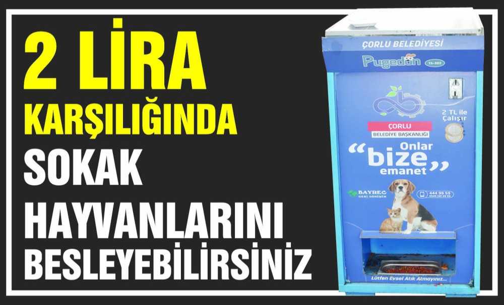 2 Lira Karşılığında Sokak Hayvanlarını Besleyebilirsiniz