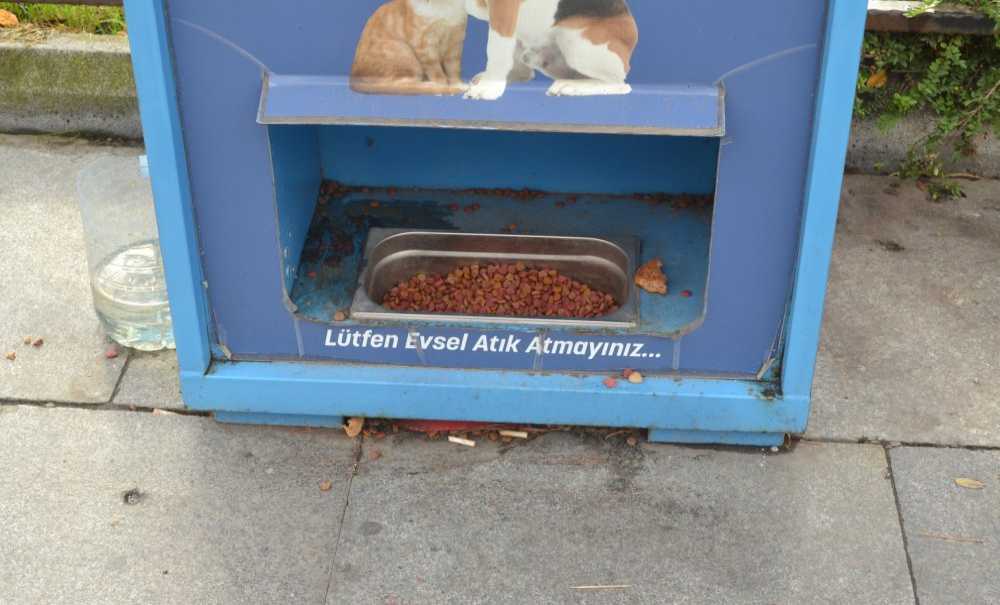 2 Lira Karşılığında Sokak Hayvanlarını Besleyebilirsiniz