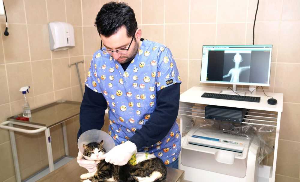 Hayvan Bakımevi Şifa Dağıtıyor