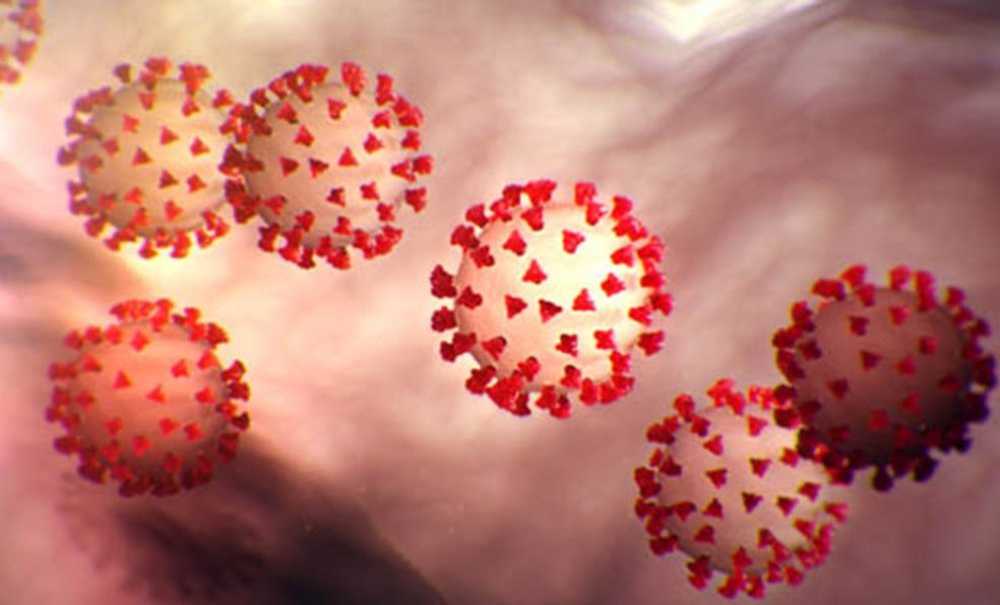 Maske Kullanmakta Fayda Var!