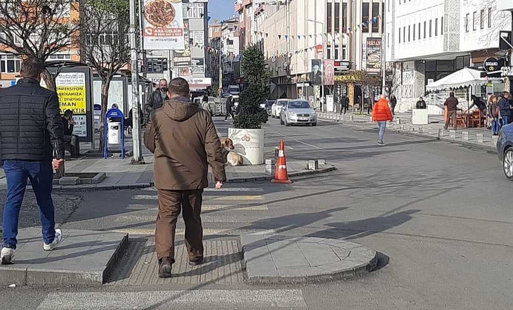 Sokak Köpekleri Çocukları Korkutuyor!