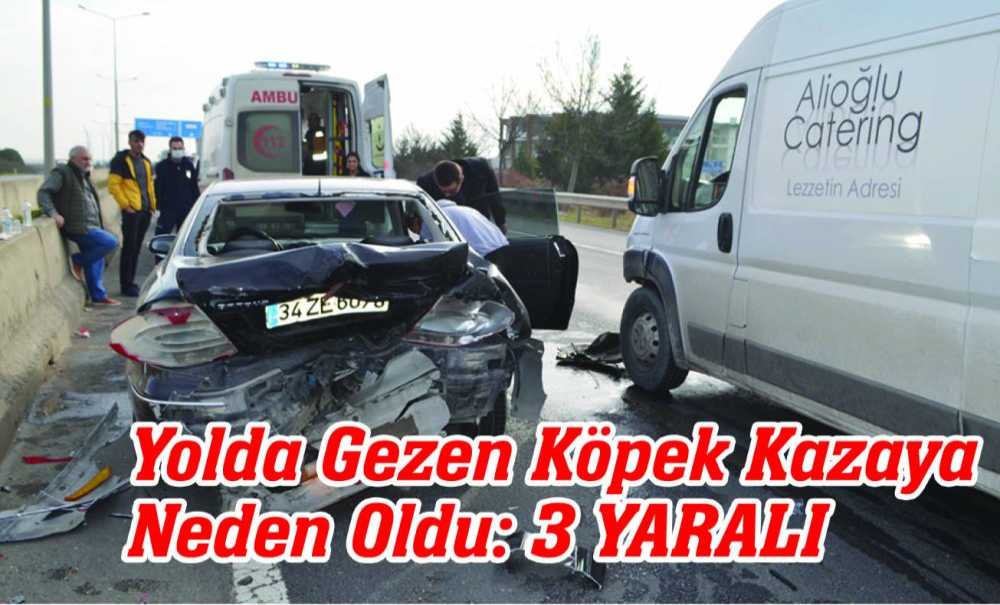 Yolda Gezen Köpek Kazaya Neden Oldu: 3 Yaralı