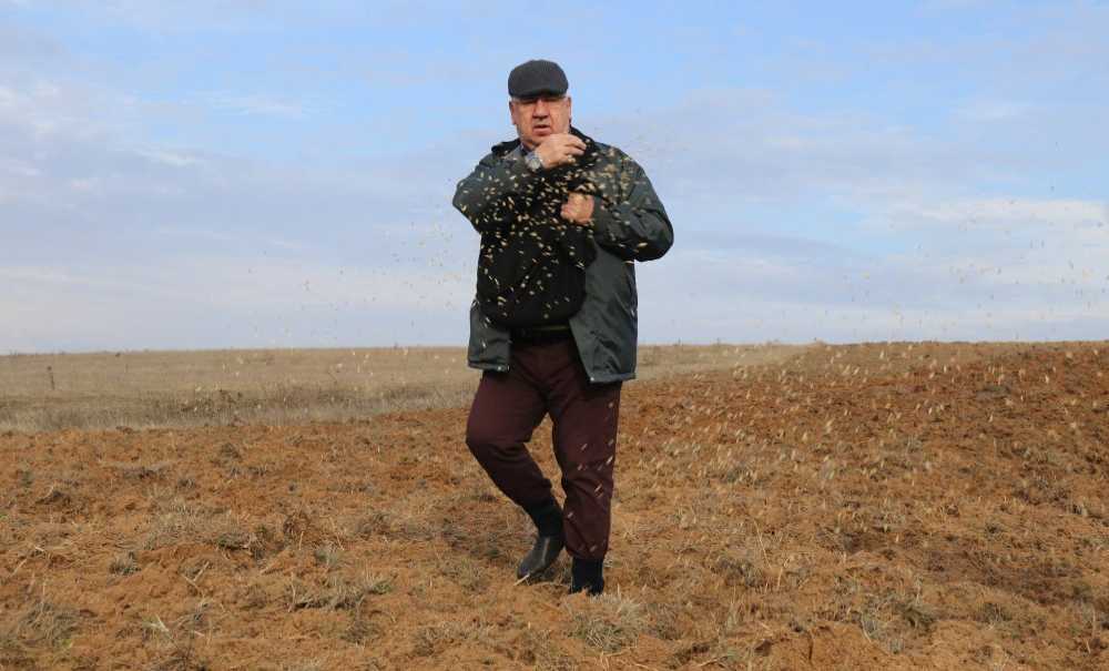 Buğdayın Atası Siyez'i Toprakla Buluşturdular