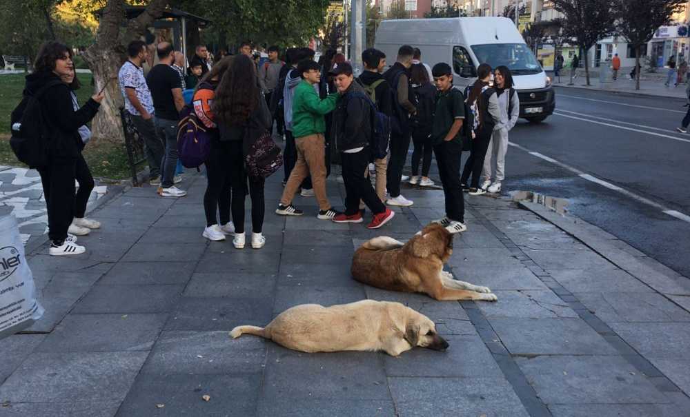 Duraklardaki Yoğunluk Bitmek Bilmiyor!