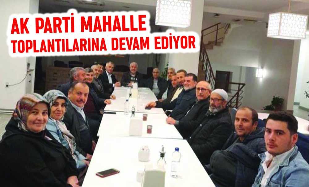 Ak Parti Mahalle Toplantılarına Devam Ediyor