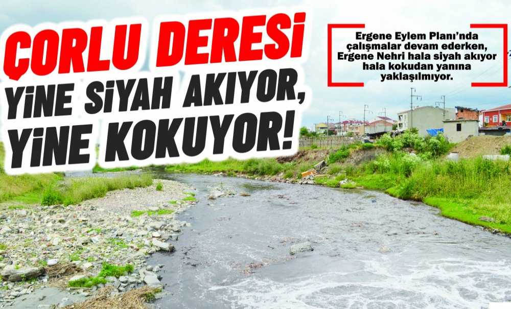 Çorlu Deresi Yine Siyah Akıyor, Yine Kokuyor!