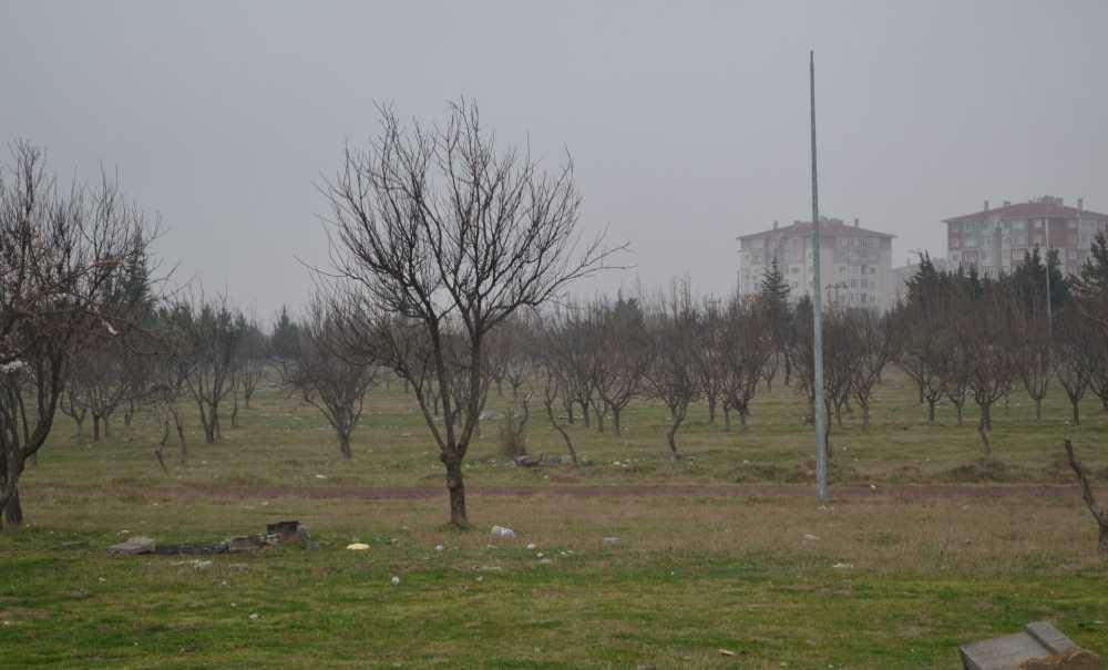Millet Bahçesi Olacaktı Ama Hayal Oldu