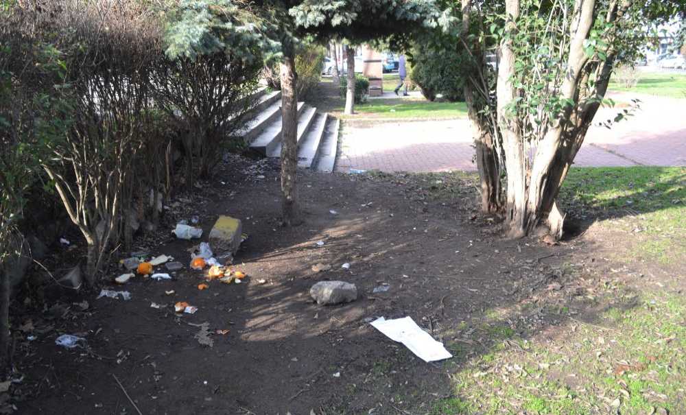 Park Pislikten Geçilmiyor!