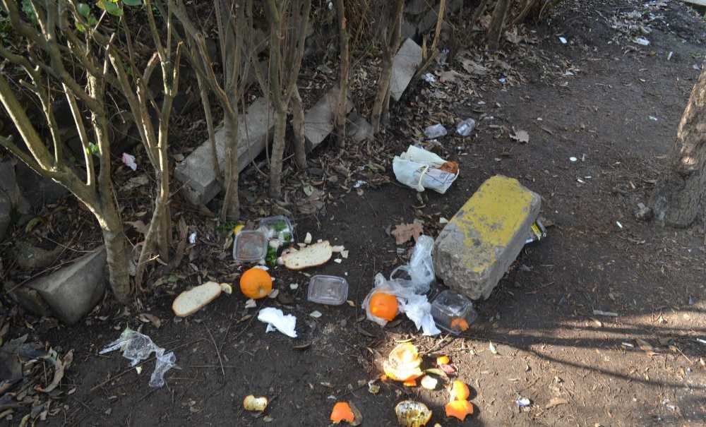 Park Pislikten Geçilmiyor!